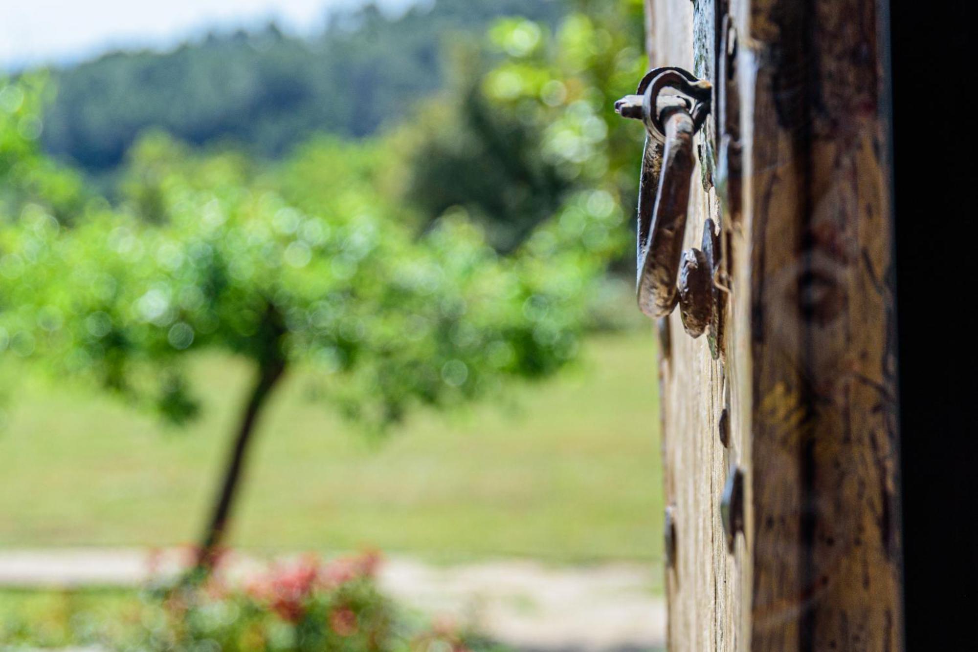 Agroturisme Subies Selva  Exterior foto